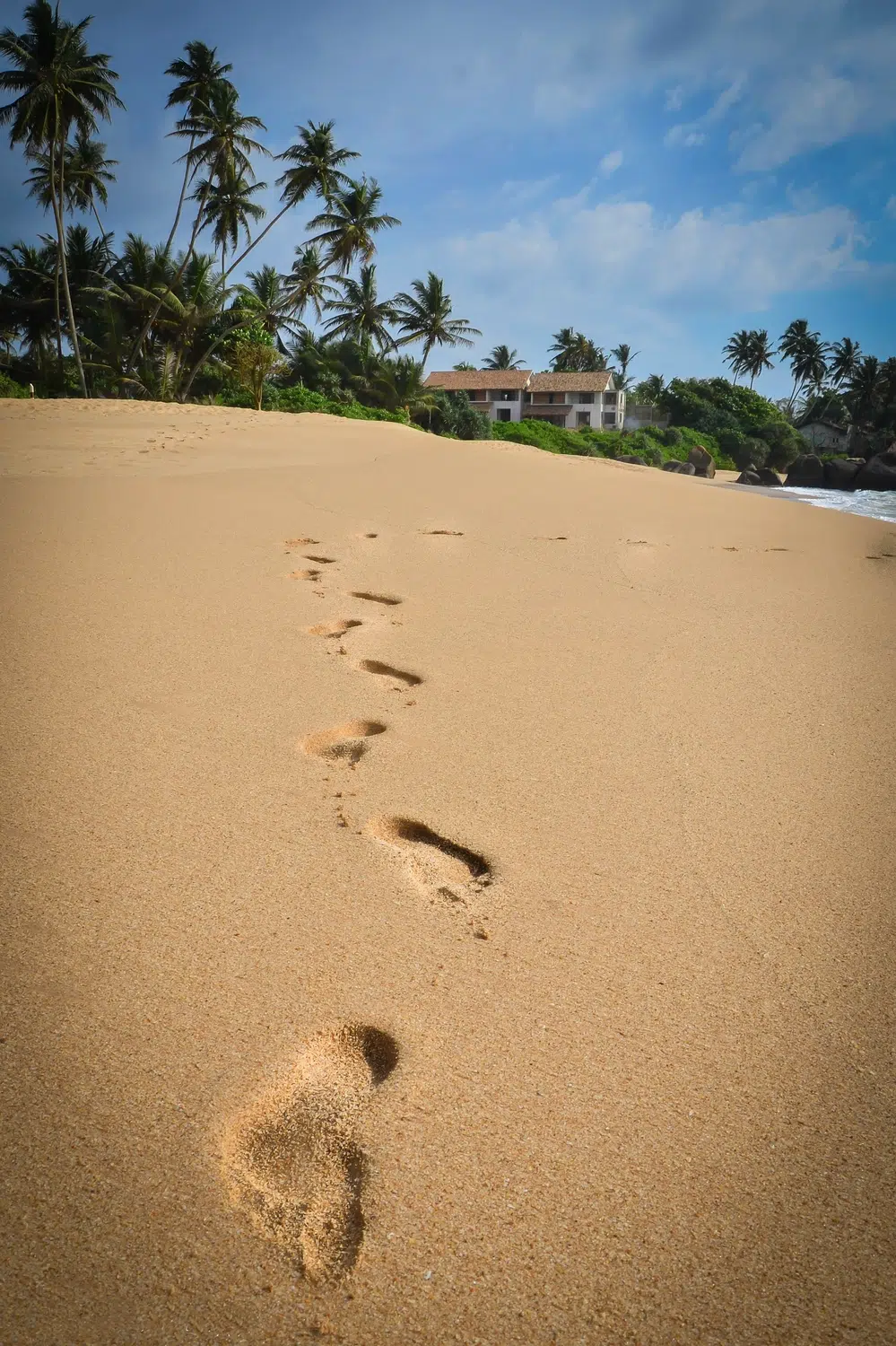Palm-fringed Sri Lanka beach and coastal scenery for Sri Lanka private day tour with Trustker