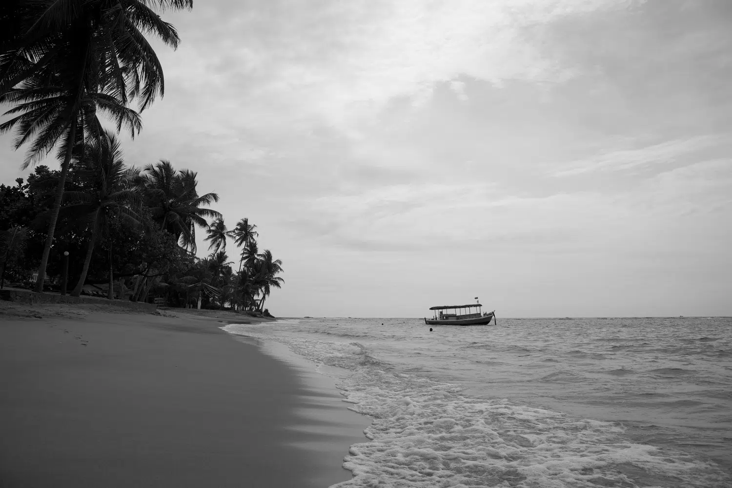Palm-fringed Sri Lanka beach and coastal scenery for Sri Lanka private day tour with Trustker