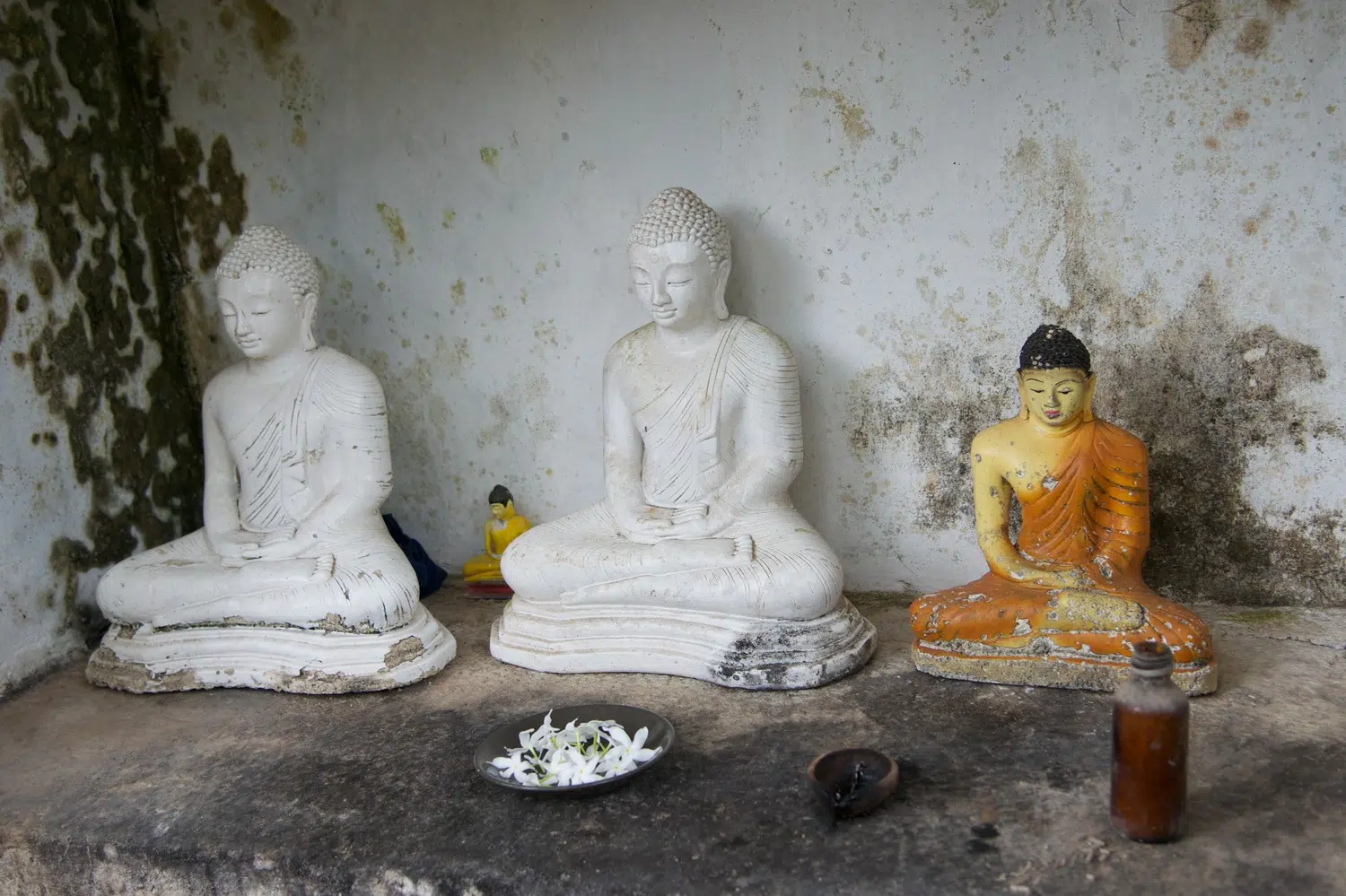 Sri Lanka Buddhist temple and sacred shrine for Spa, Nature and Southern Coast