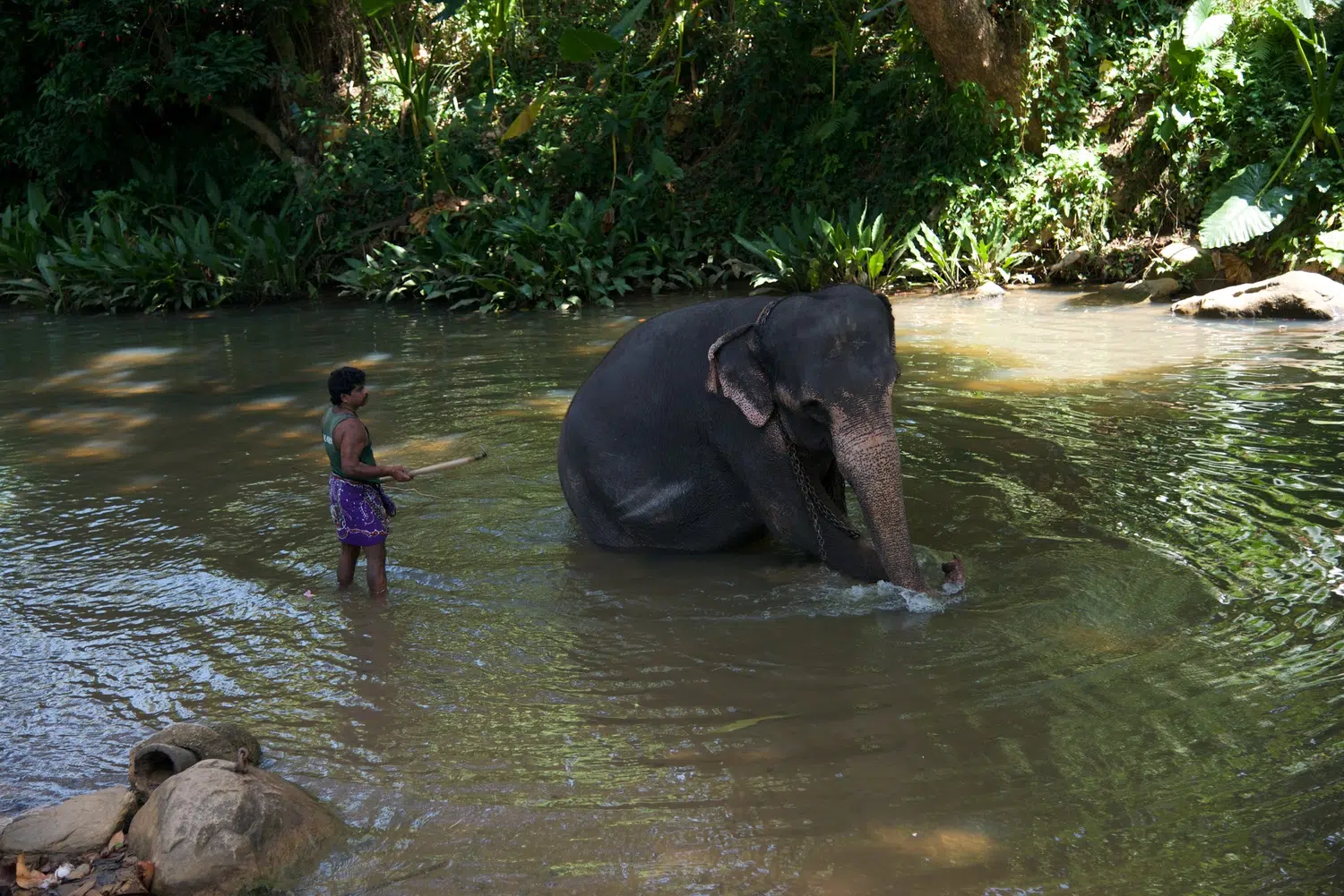 Sri Lanka elephant and wildlife experience for Gal Oya and Eastern Wildlife