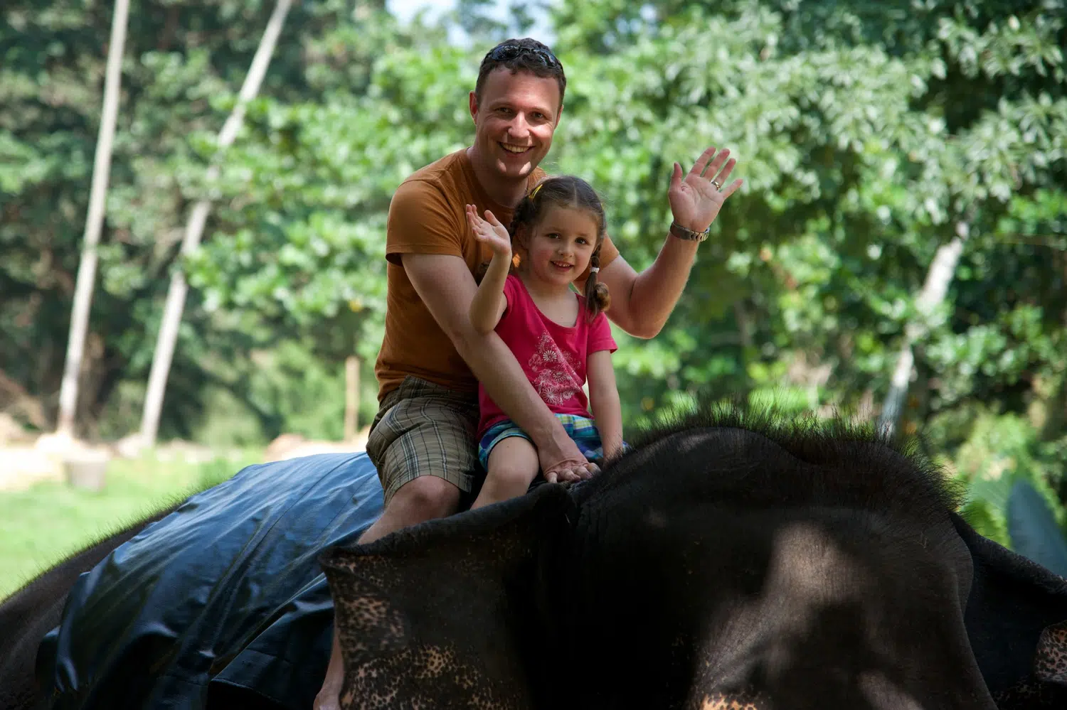 Sri Lanka elephant and wildlife experience for Slow Family Island Holiday