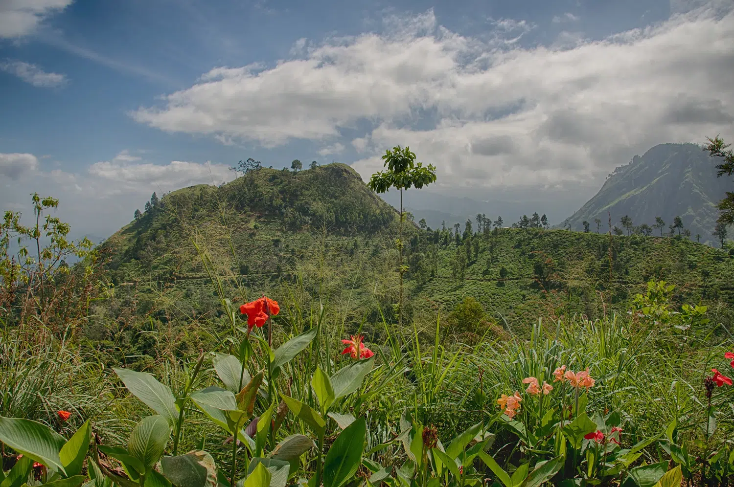 Ella and Nuwara Eliya hill-country scenery for Tea, Train and Southern Coast