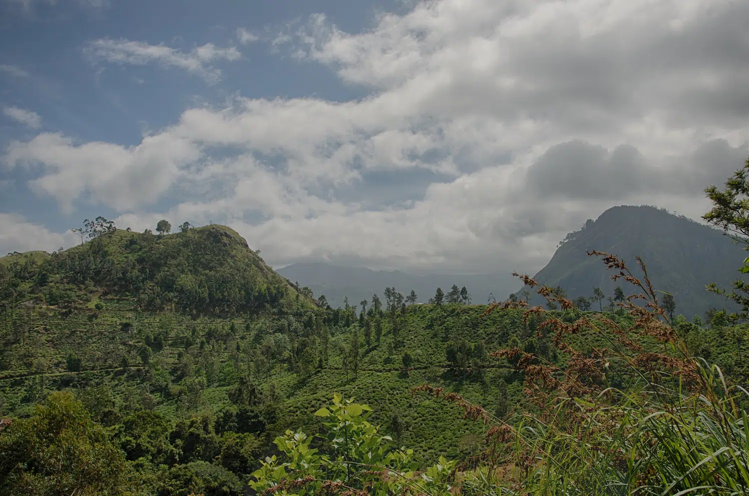 Ella and Nuwara Eliya hill-country scenery for Highland and Beach Wellness