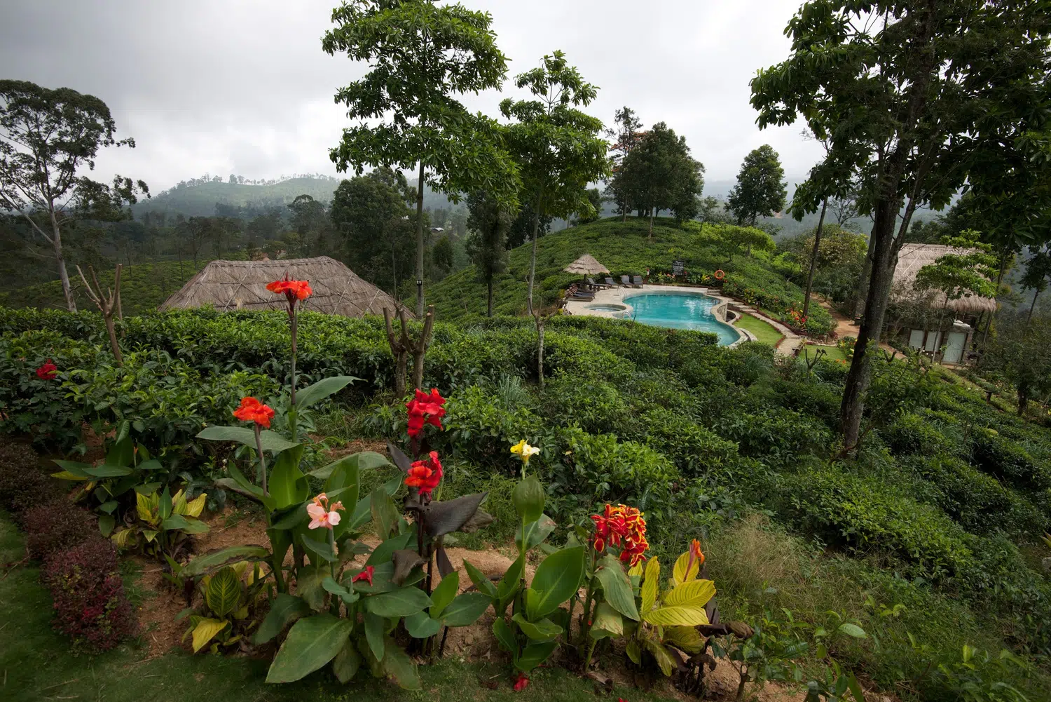 Ella and Nuwara Eliya hill-country scenery for Tea Bungalows and Southern Coast