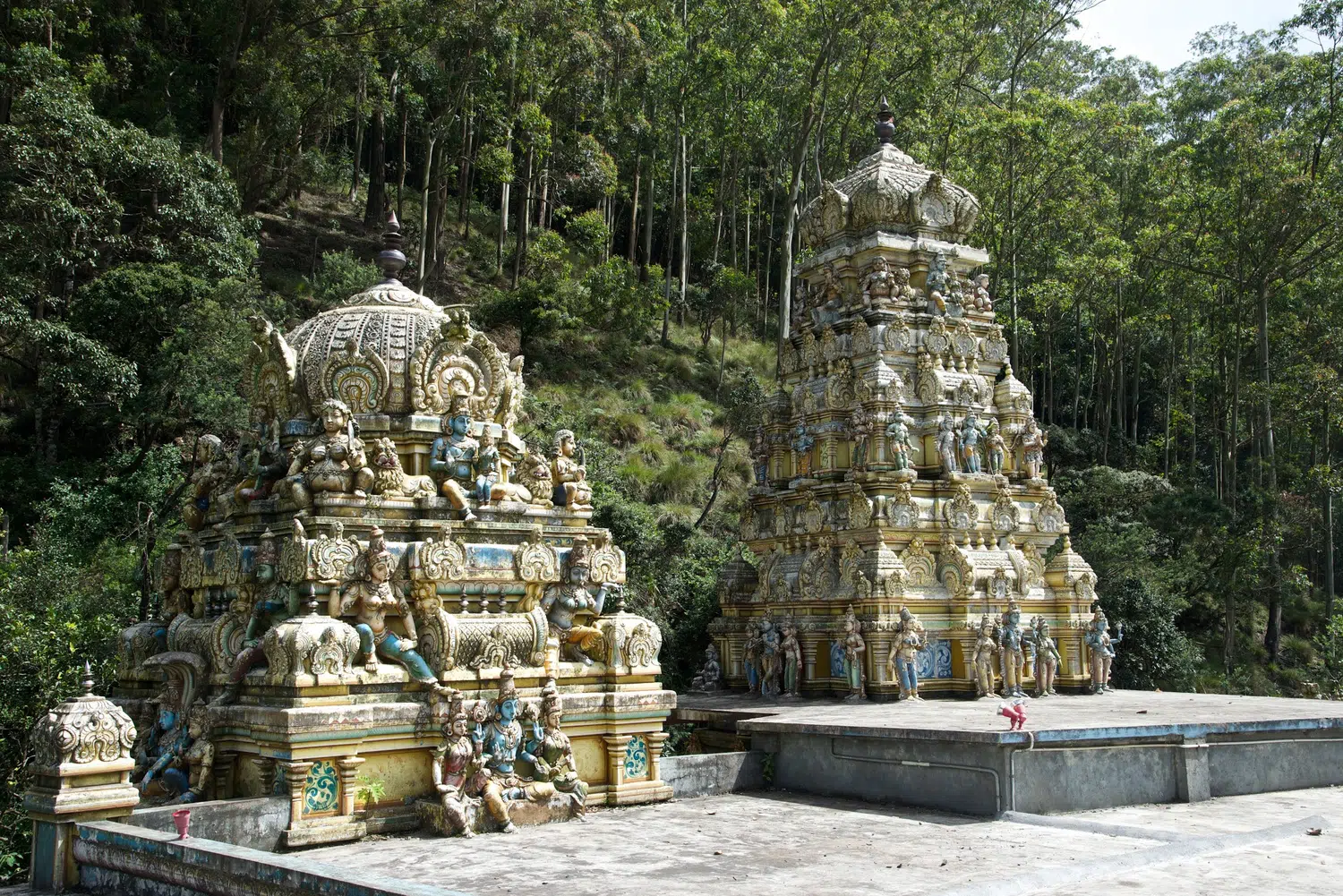 Hiking & Nature Tours in Sri Lanka with Trustker