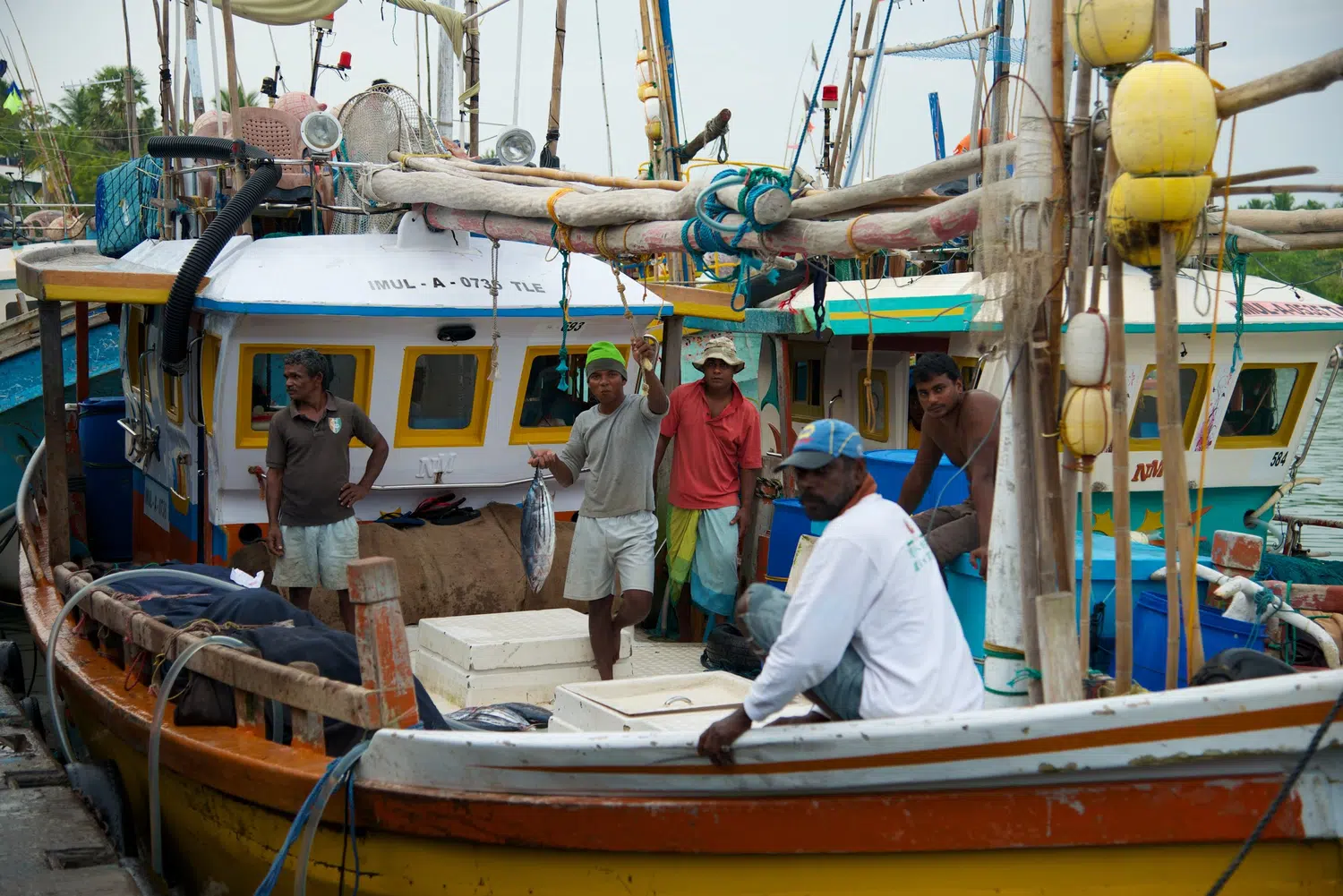 Sri Lanka fishing boats, market and coastal life for Arugam Bay Surf Holiday