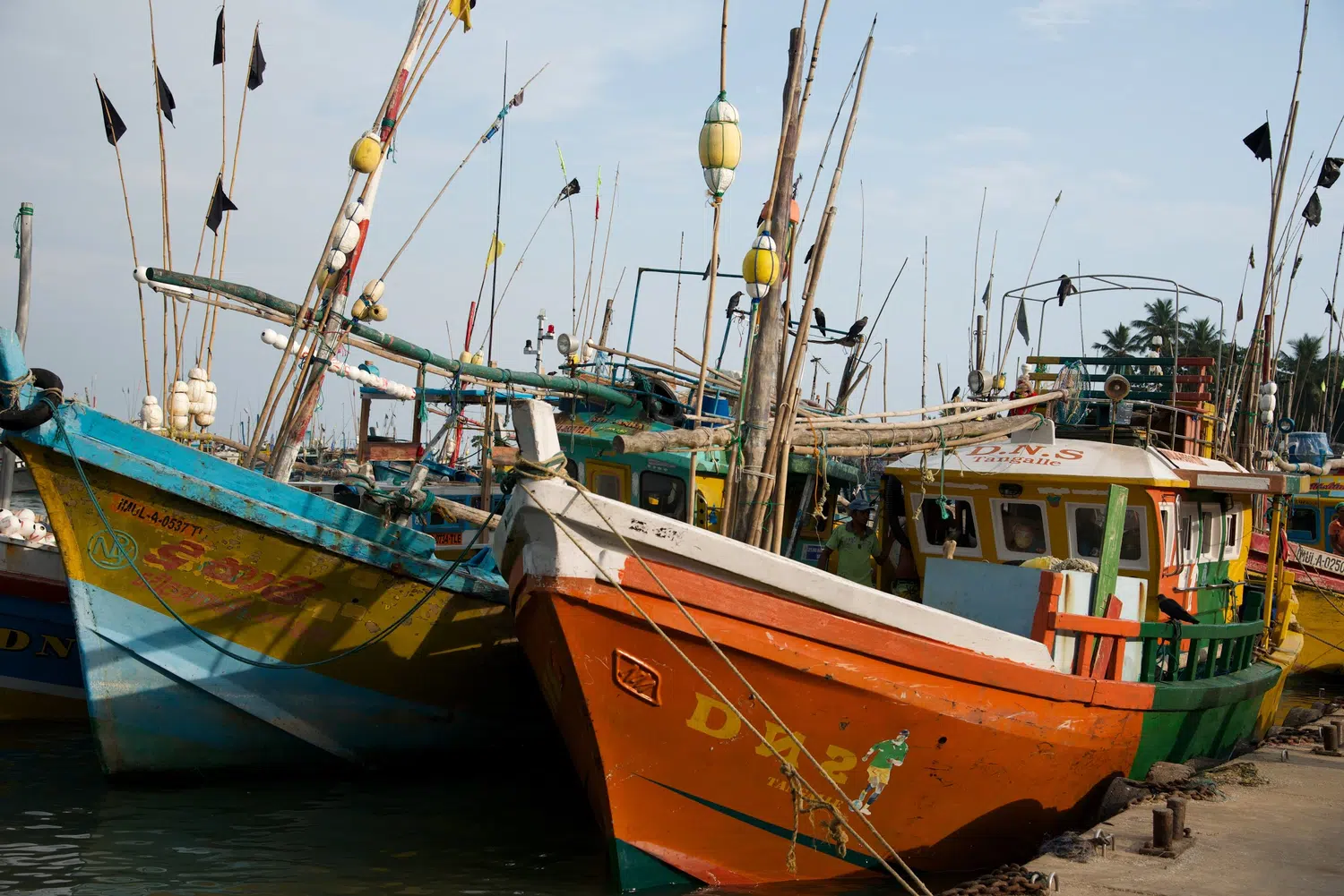 Sri Lanka fishing boats, market and coastal life for Anuradhapura and Jaffna