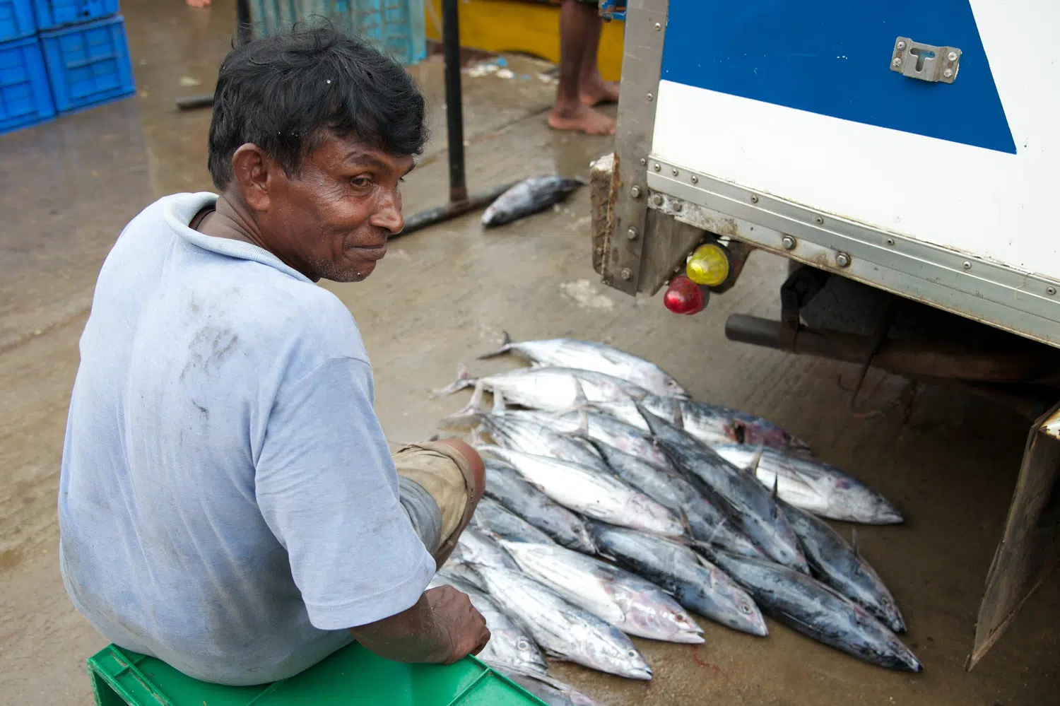 Sri Lanka fishing boats, market and coastal life for Northern Culture and Cuisine