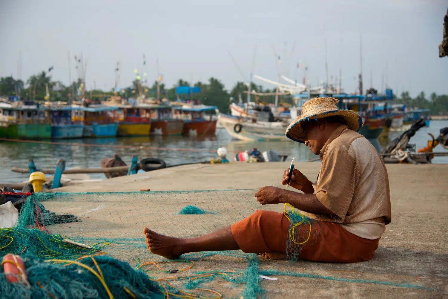 Sri Lanka fishing boats, market and coastal life for Northern Temple Pilgrimage