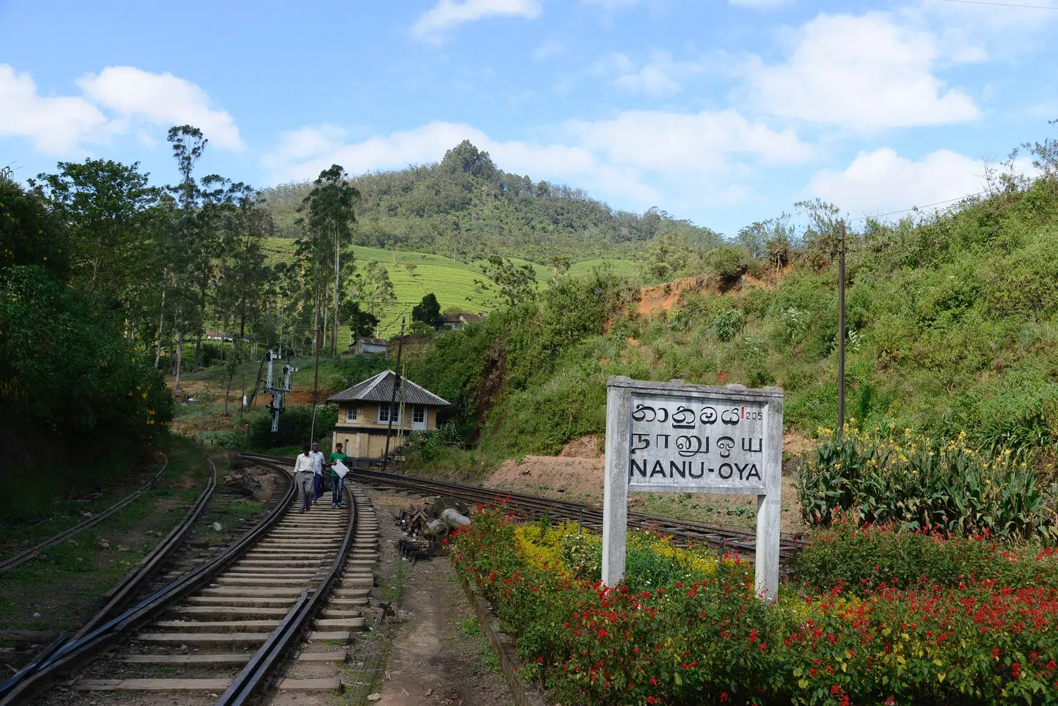 Sri Lanka scenic hill-country railway for Classic Sri Lanka Highlights