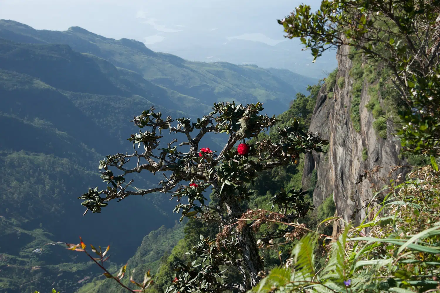 Sri Lanka hill-country waterfall and mountain scenery for Classic Ramayana Yatra