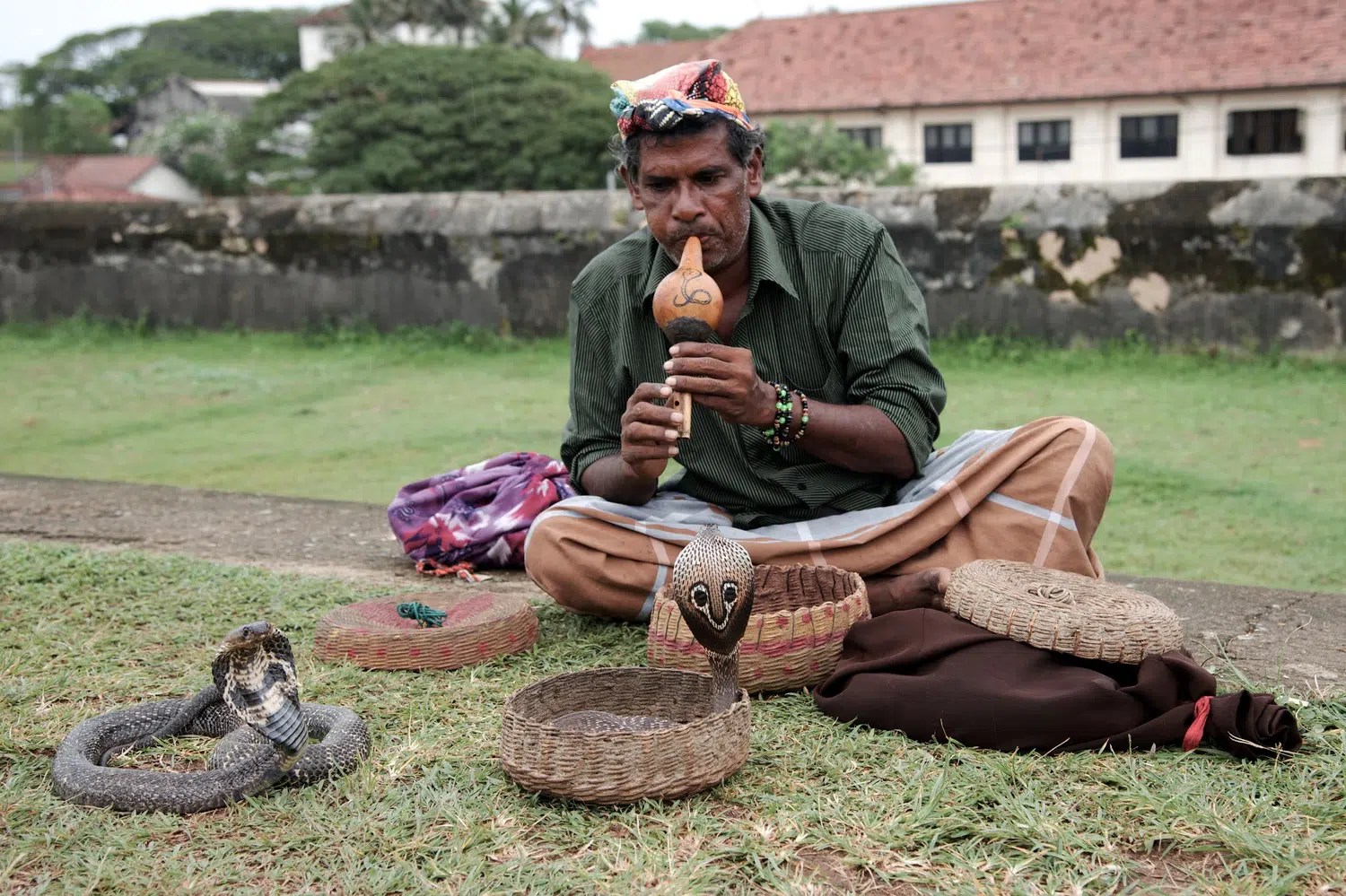 Sri Lanka local culture and community life for Kandy Cooking and Market Journey