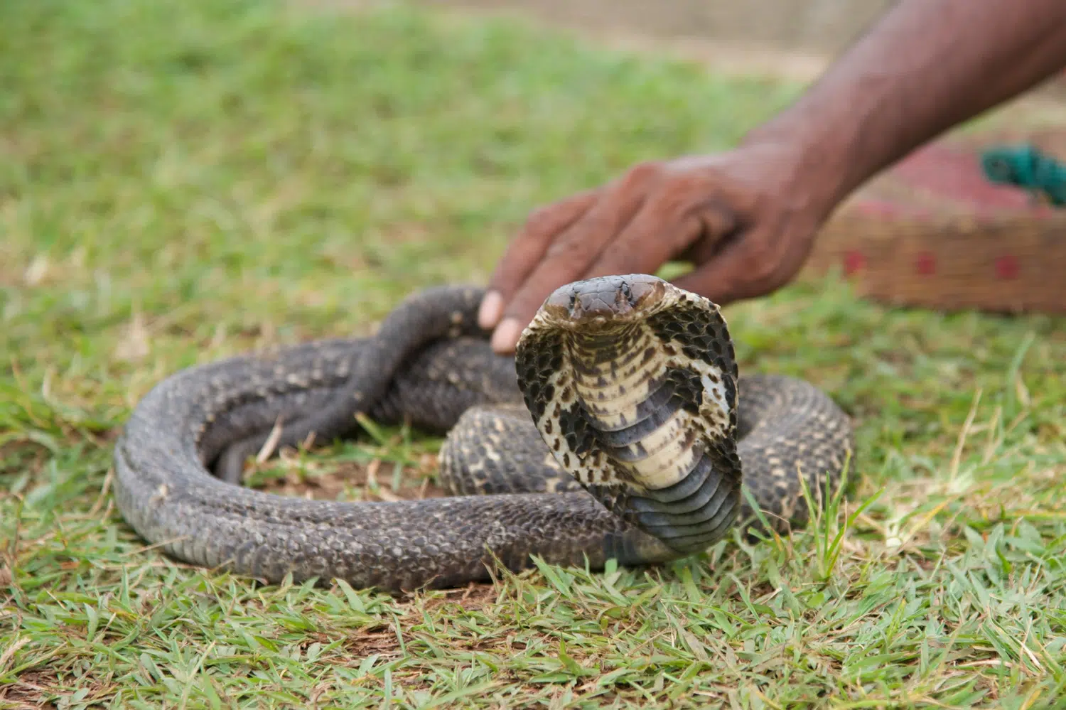 Sri Lanka local culture and community life for Culinary and Cultural Discovery