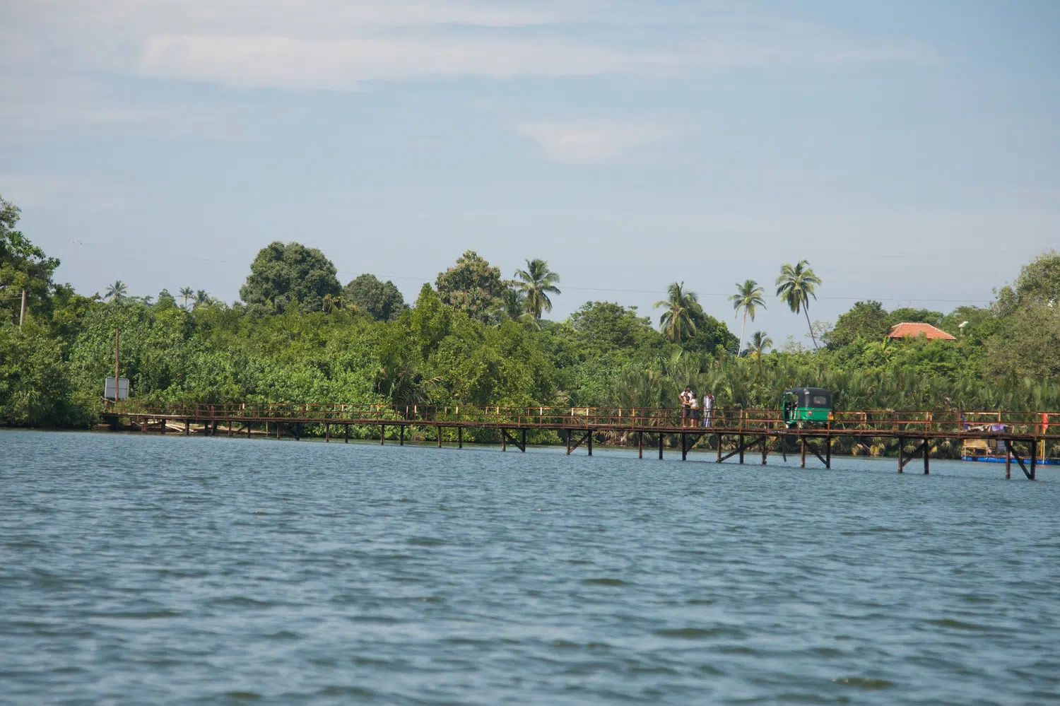 Mangrove lagoon, river boat safari and water birds for Sri Lanka private day tour with Trustker