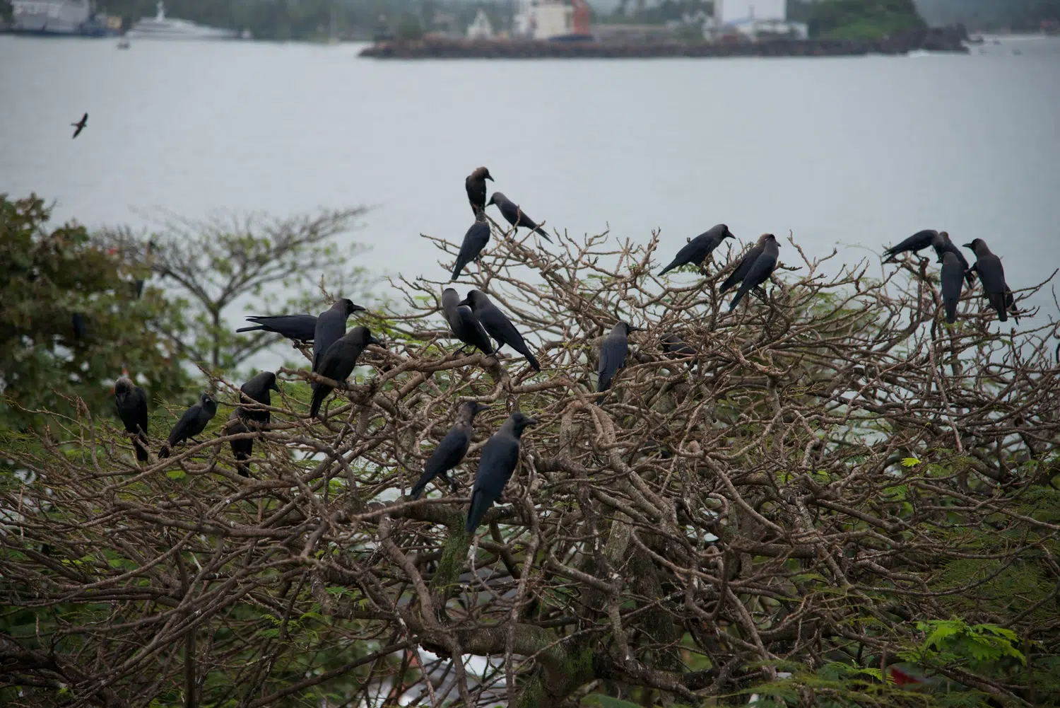 Day tours from Ratnapura