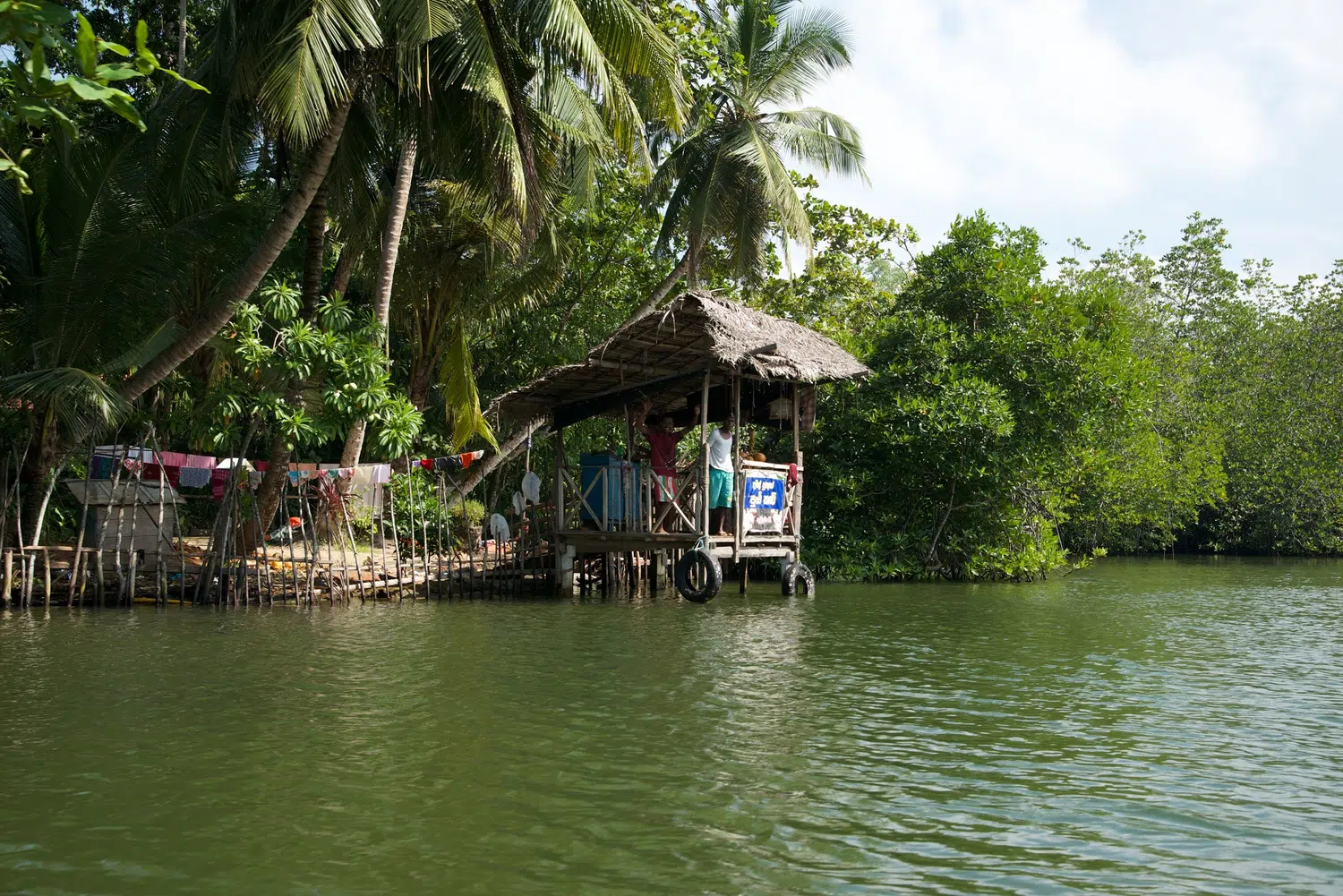 Sri Lanka river, lagoon and mangrove scenery for East Coast Beach Journey