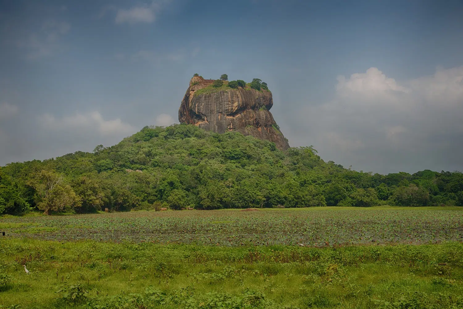Sigiriya Rock, gardens, frescoes, monkeys and Cultural Triangle landscapes for Sri Lanka private day tour with Trustker