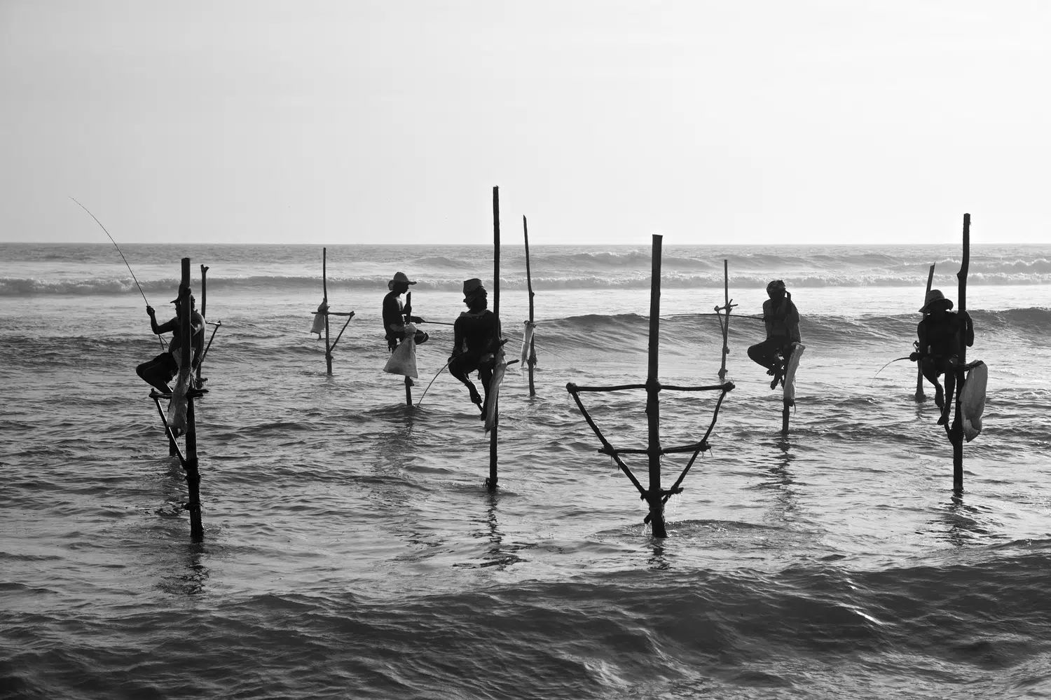 Sri Lanka traditional stilt fishermen for Farm-to-Table Sri Lanka