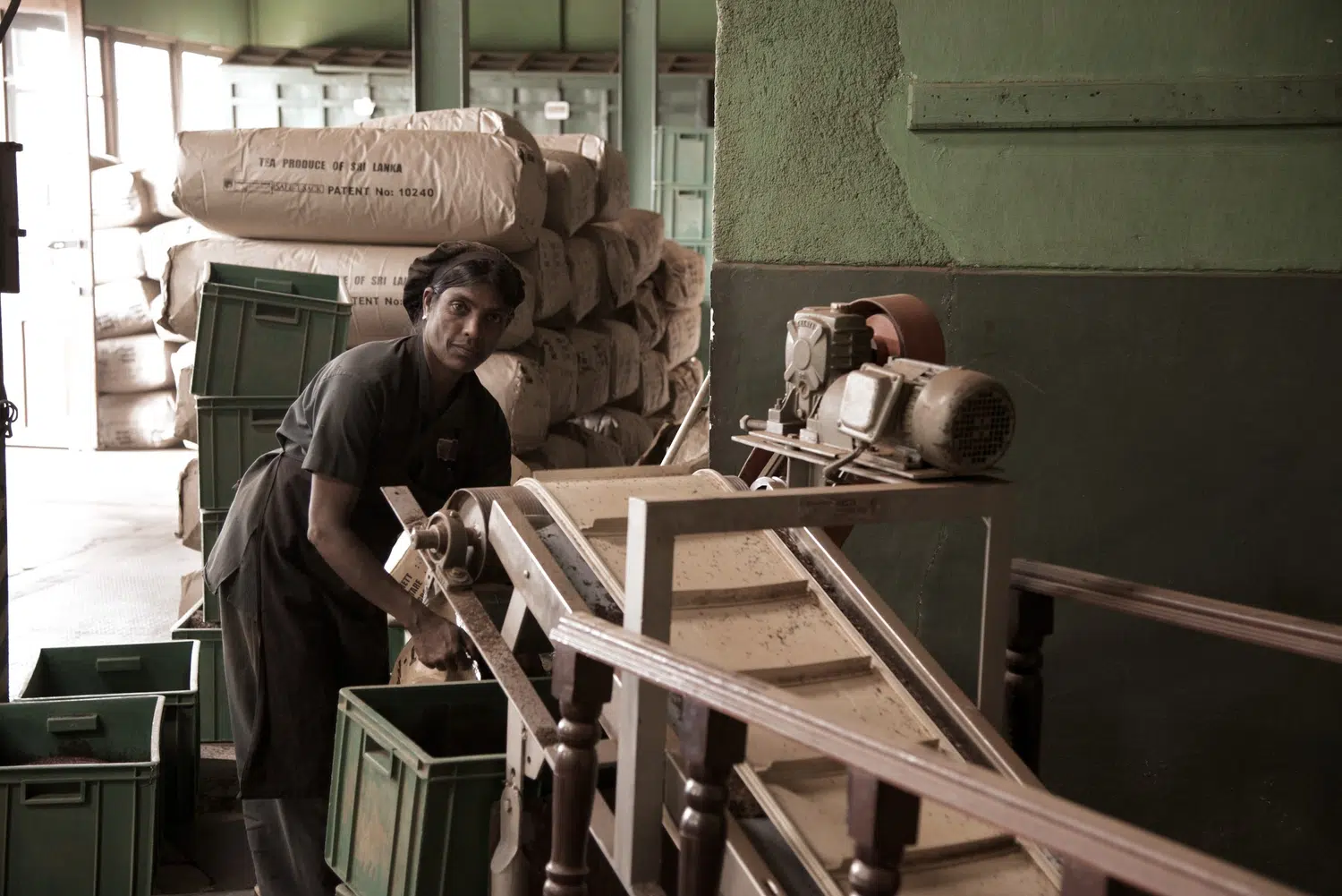 Sri Lanka tea-country scenery for seven and eight day packages