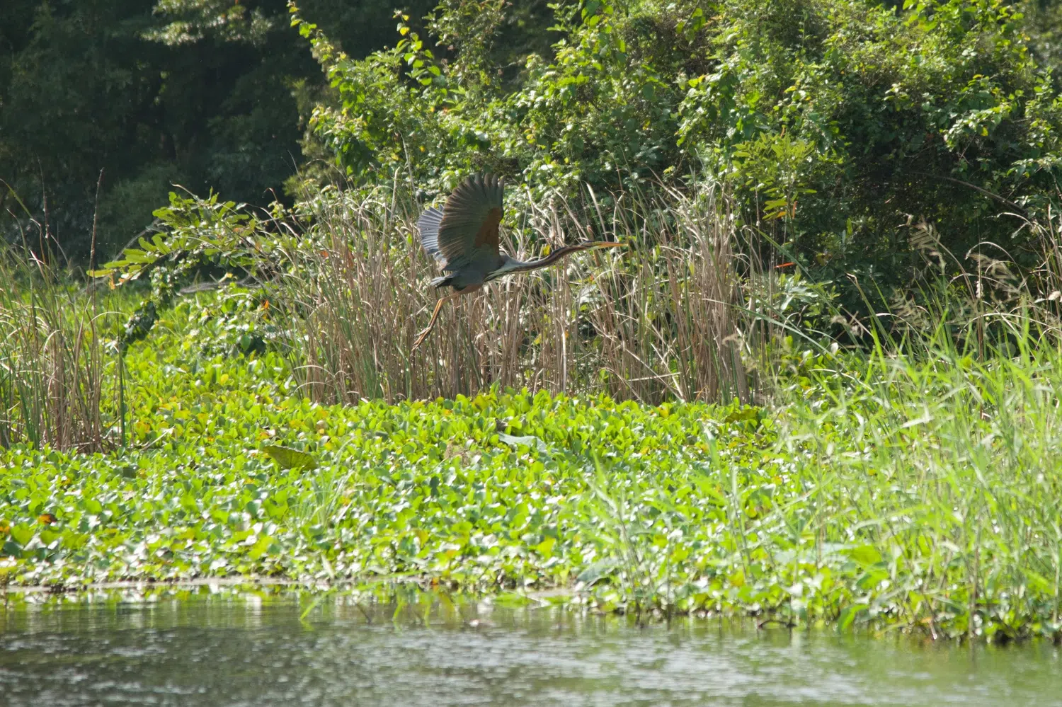Sri Lanka village and rural nature scenery for Sri Lanka Adventure with Teenagers
