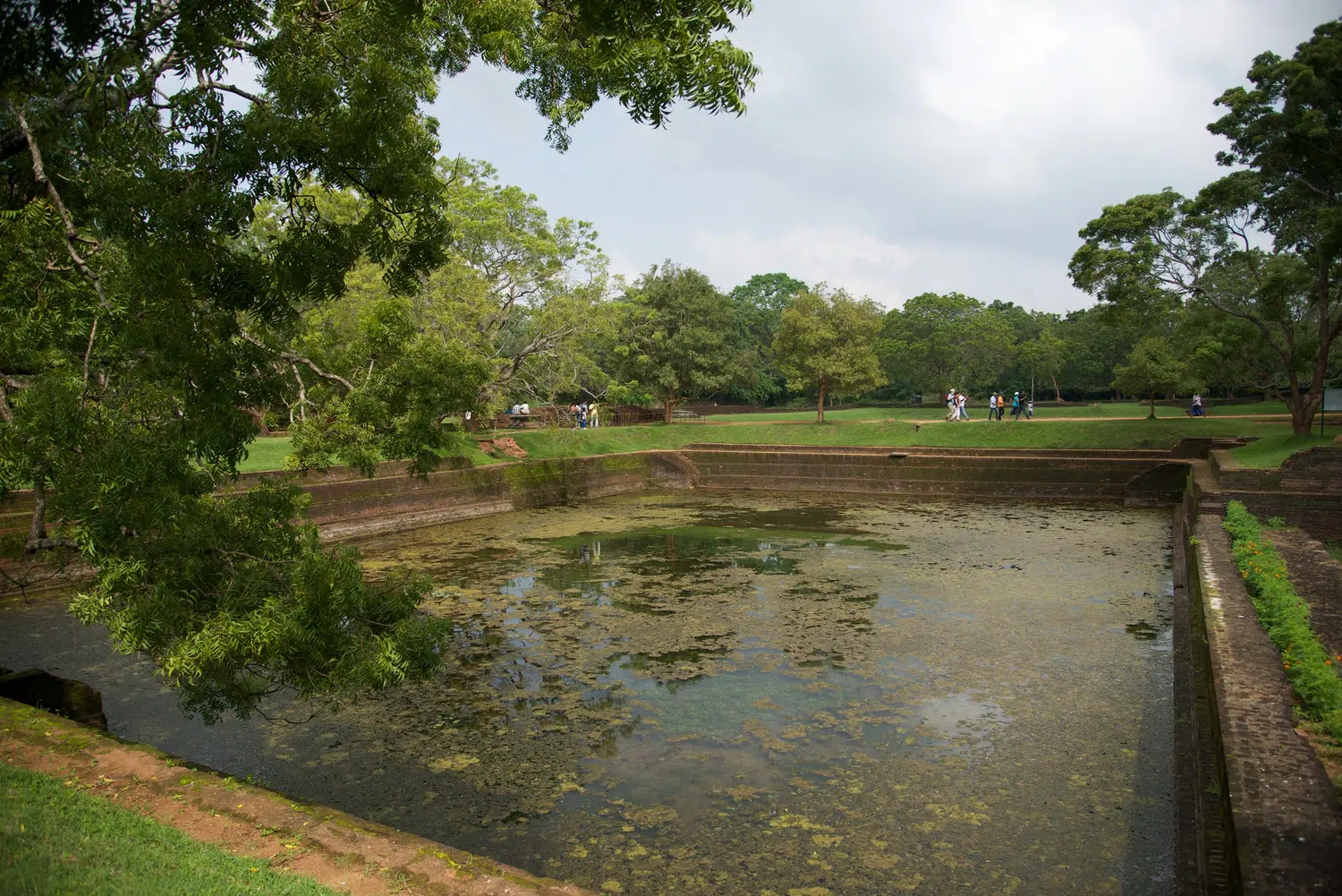 Sri Lanka village and rural nature scenery for Sri Lanka Big Three Parks