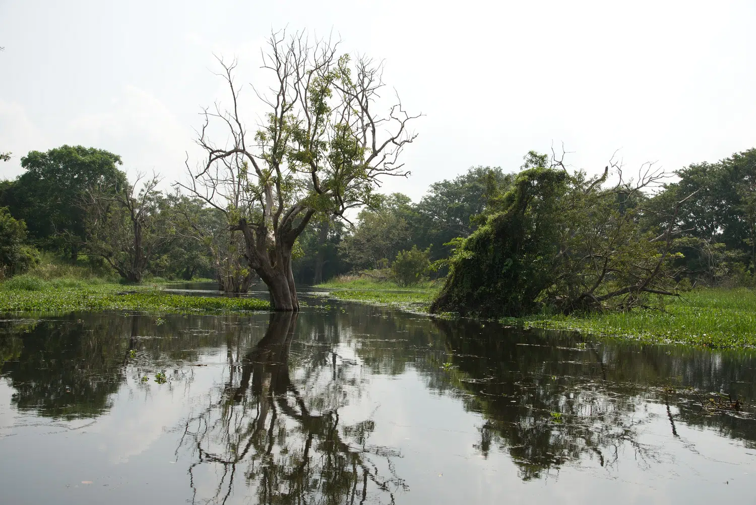 Sri Lanka village and rural nature scenery for Traditional Ayurveda Retreat