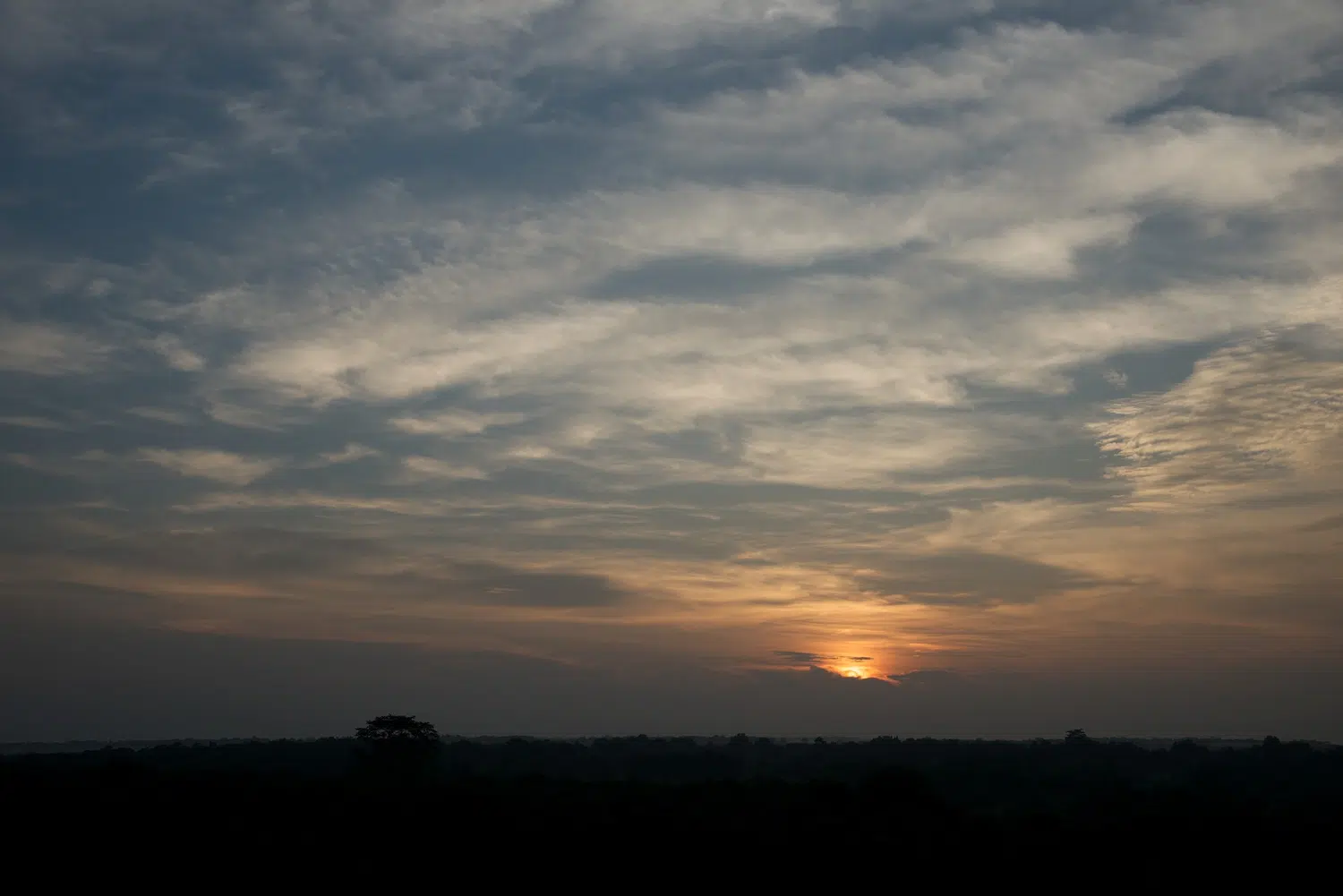 Elephants, birds, buffalo, peacock and safari landscapes for Sri Lanka private day tour with Trustker
